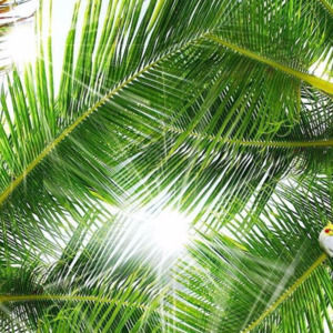 Closet Update. Please Read